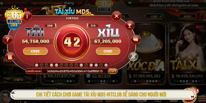 Nắm rõ toàn bộ luật chơi Tài xỉu MD5 khi tham gia Hitclub